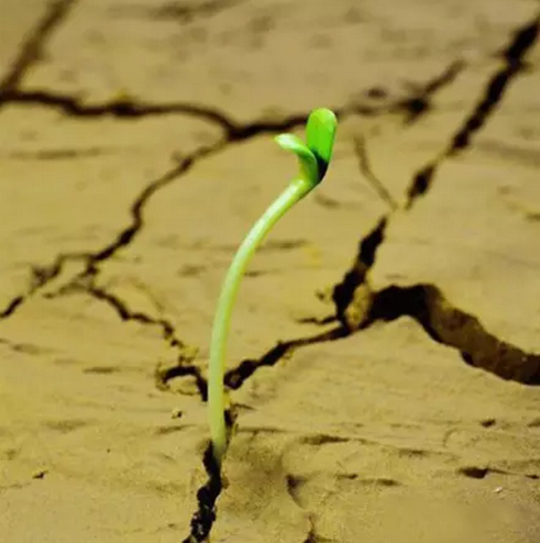 1483759725182049.png blob.png